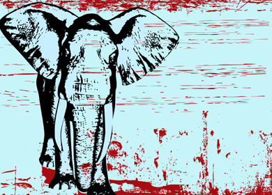 The Elephant Room
